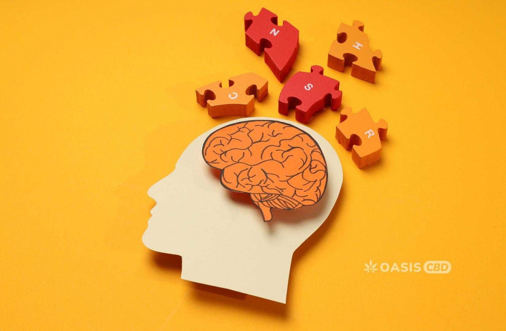 brain-picture-oasisCBD
