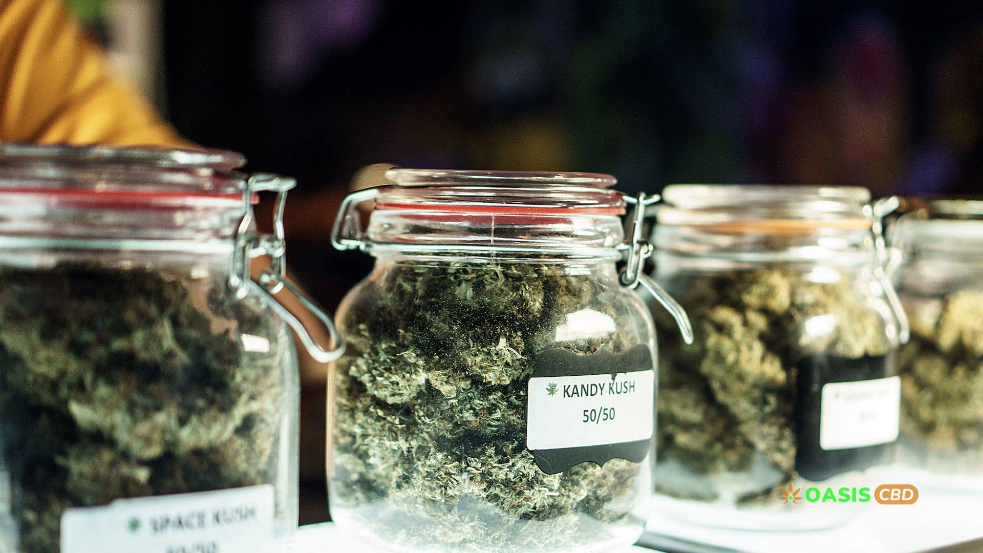cannabis-picture-oasisCBD